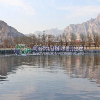Air Bladder Dam Gate