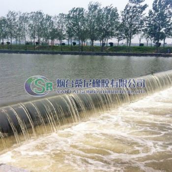 Steel Shield Spillway Gate