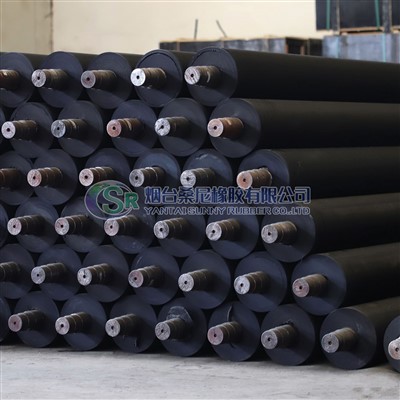 BELTEGUIDE RULLE/FILTERKLUT RULLE